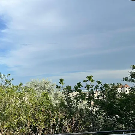 מלון דירות Avenue Palm - Amazing Sea View אפורי נורד