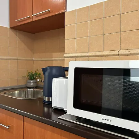 Avenue Palm - Amazing Sea View אפורי נורד