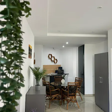 Avenue Palm - Avenue