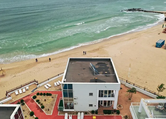 Avenue Palm Eforie - Avenue Hotels Eforie Nord