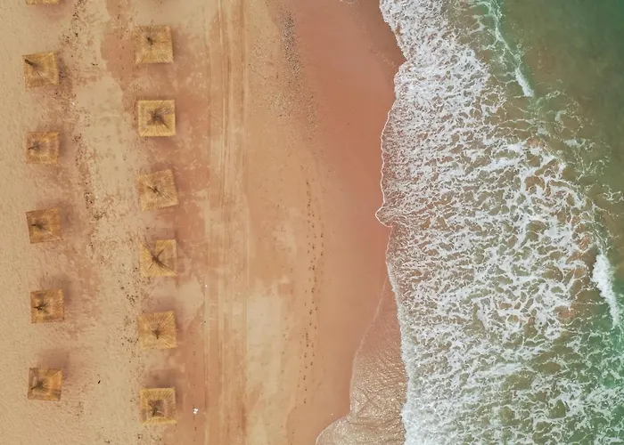 Avenue Palm Eforie - Avenue Hotels Appart hôtel