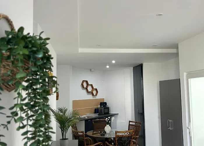 Avenue Palm Eforie - Avenue Hotels