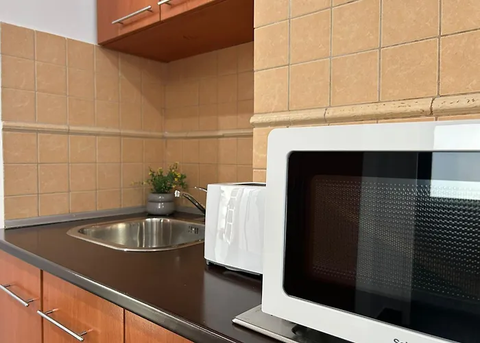 Avenue Palm - Avenue 4*